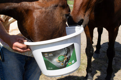 Green Stallion maistuu hevoselle – luonnon elektrolyytti